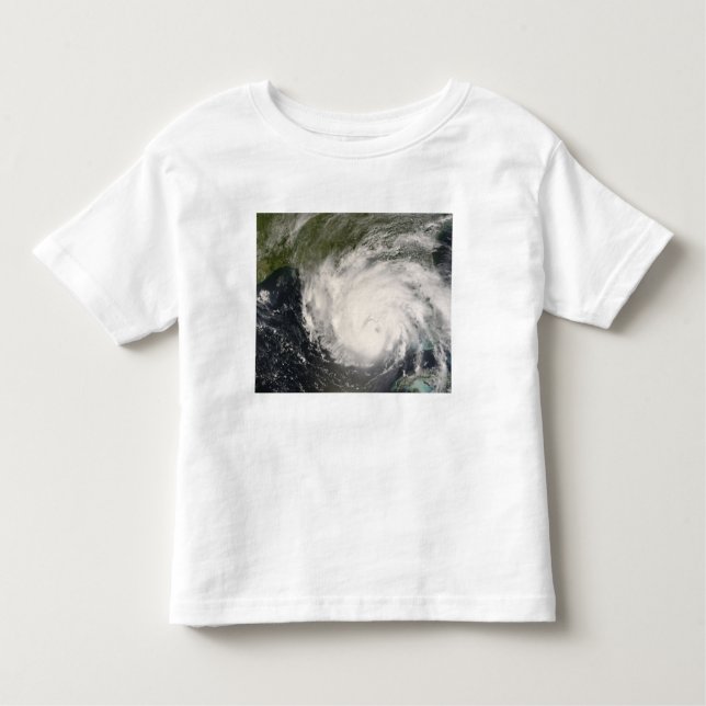 Hurricane Gustav Toddler T-shirt (Front)