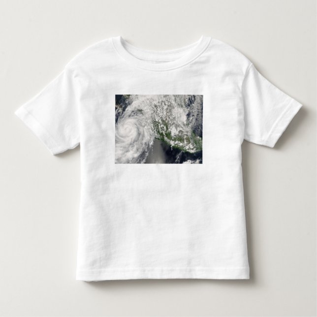 Hurricane Henriette Toddler T-shirt (Front)