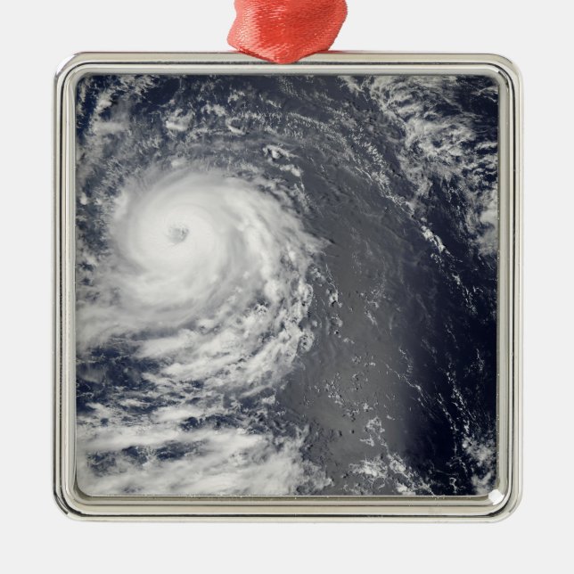 Hurricane Igor 2 Metal Ornament (Front)