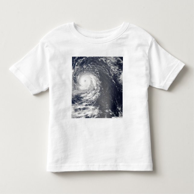 Hurricane Igor 2 Toddler T-shirt (Front)