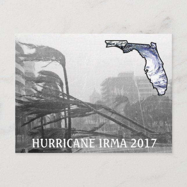 Hurricane Irma Florida 2017 Memorabilia Postcard (Front)