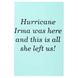 Hurricane Irma was here and this is all she left u Metal Print