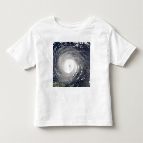 Hurricane Isabel Toddler T_shirt