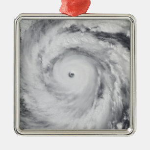 Hurricane Jangmi Metal Ornament