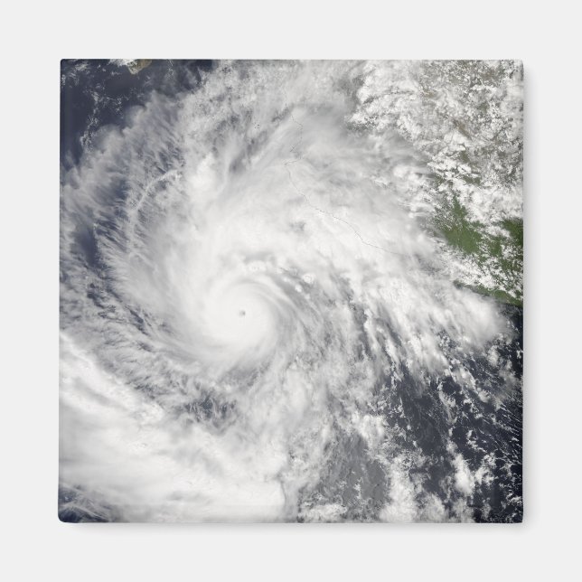 Hurricane Jimena Magnet (Front)