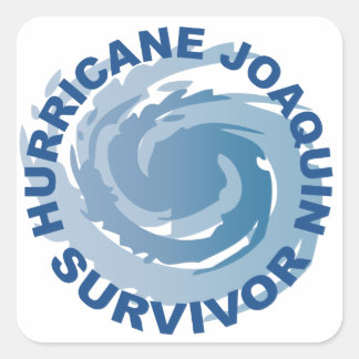 Hurricane Joaquin Survivor Square Sticker