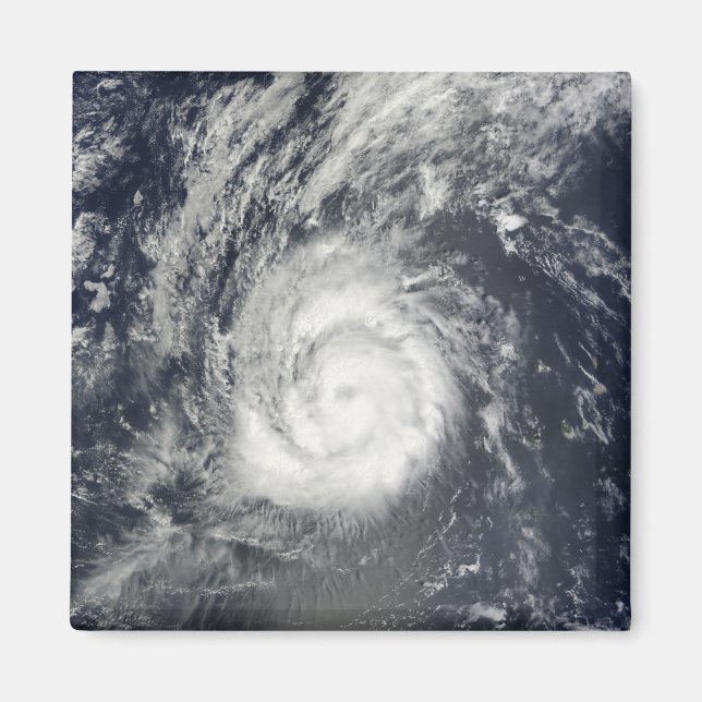 Hurricane Julia Magnet (Front)