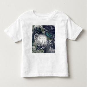 Hurricane Lili 4 Toddler T-shirt