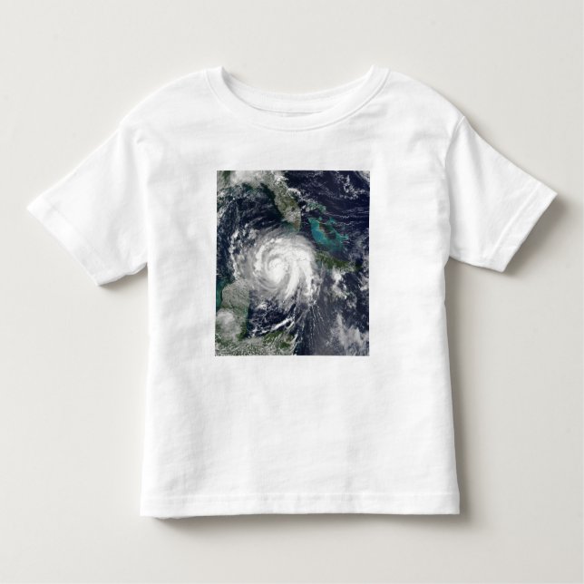 Hurricane Lili 4 Toddler T-shirt (Front)