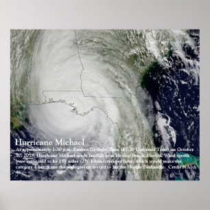 Hurricane Michael Poster