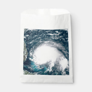 Hurricane off the coast of Florida Favor Bag