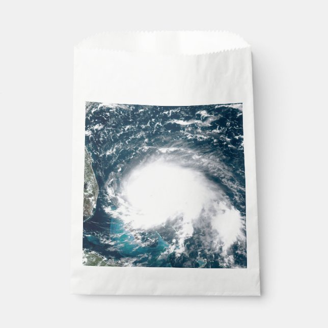 Hurricane off the coast of Florida    Favor Bag (Front)