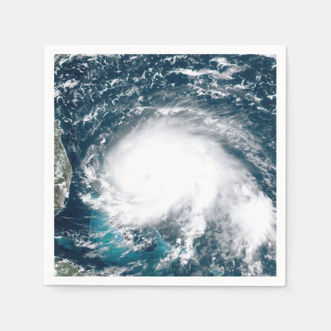 Hurricane off the coast of Florida    Napkins (Front)