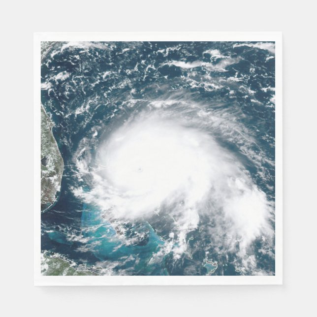 Hurricane off the coast of Florida Paper  Napkins (Front)