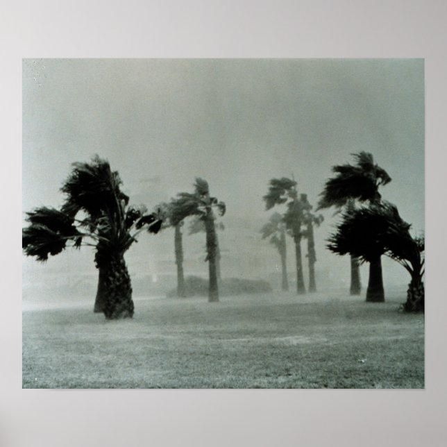 hurricane poster (Front)