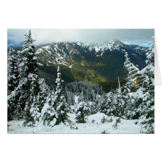 Hurricane Ridge Cards (Front Horizontal)