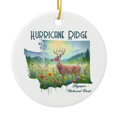 Hurricane Ridge National Park Souvenir Gift Ceramic Ornament