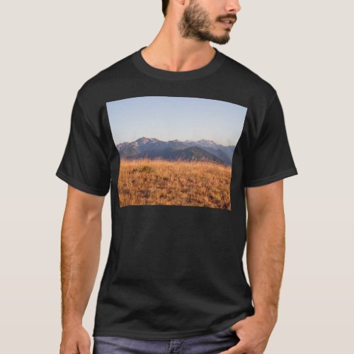 Hurricane Ridge Olympic National Park Gift T_Shirt