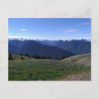Hurricane Ridge - Olympic National Park postcard