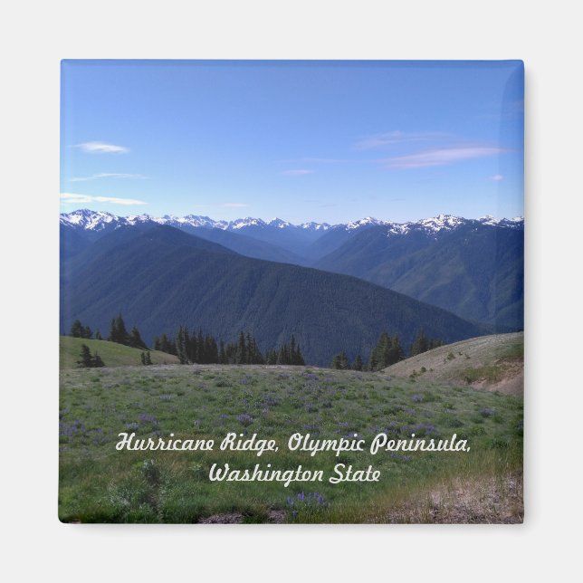 Hurricane Ridge -Olympic Natl Park Magnet (Front)