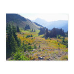 Hurricane Ridge Trail Postcard