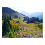 Hurricane Ridge Trail Poster