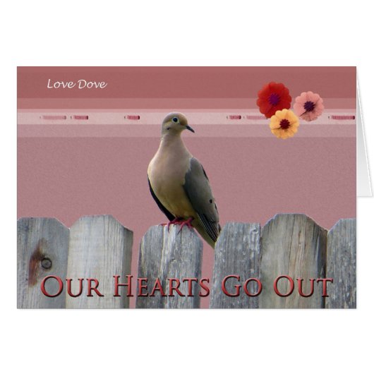 Hurricane Sandy Love Dove Cards (Front Horizontal)