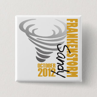 Hurricane Sandy Survivor 2012 Pinback Button