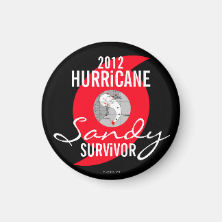 Hurricane Sandy Survivor Magnet 5
