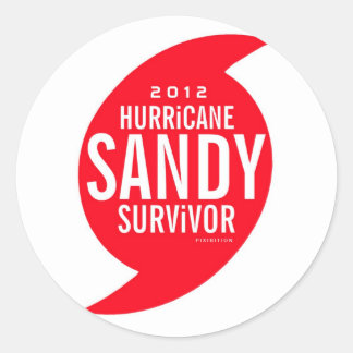 Hurricane Sandy Survivor Sticker 5