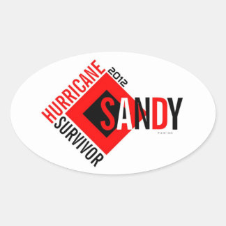 Hurricane Sandy Survivor Sticker 6
