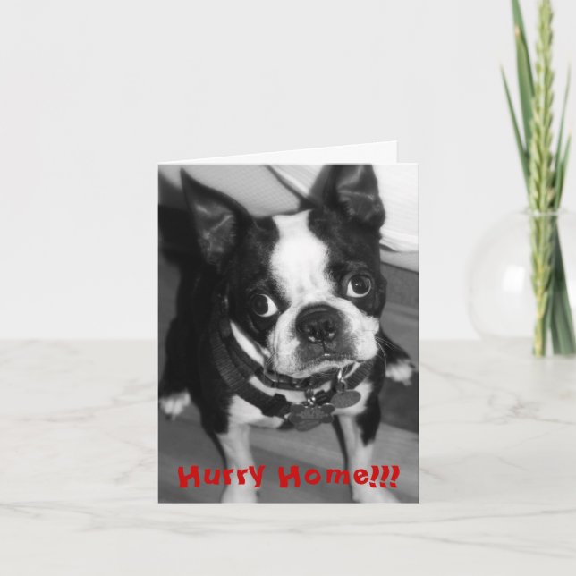 Hurry Home Card (Front)