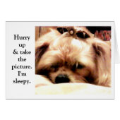 Hurry Up (Front Horizontal)