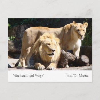"husband And Wife" By: Todd D. Martin Postcard by toddsphotography at Zazzle