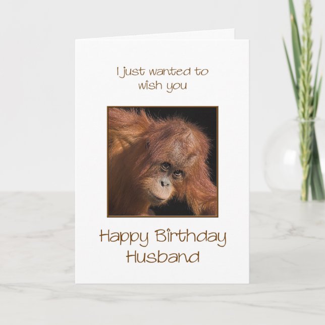 Husband Birthday, Orang Utan Card (Front)