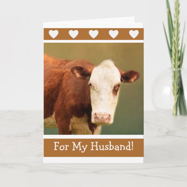 Husband Funny Cow Happy Birthday Card (Front)