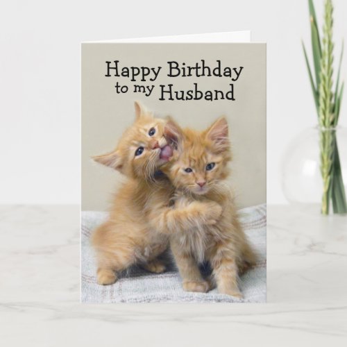 Husband Happy Birthday Orange Kittens Card