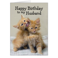 Husband Happy Birthday Orange Kittens Card