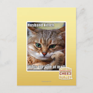 Husband Kitteh Postcard