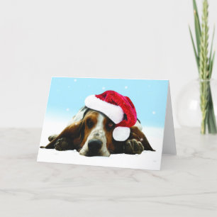 Hush puppy with santa hat holiday card