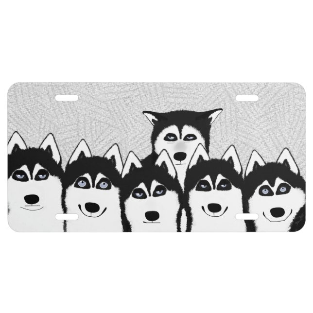 Huskies Aluminum License Plate (Front)