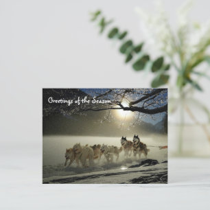 Huskies Husky Holiday Sled Dog Christmas Postcard