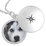 husky-54 locket necklace