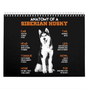 Husky Anatomy Of Siberian Husky Dogs Calendar