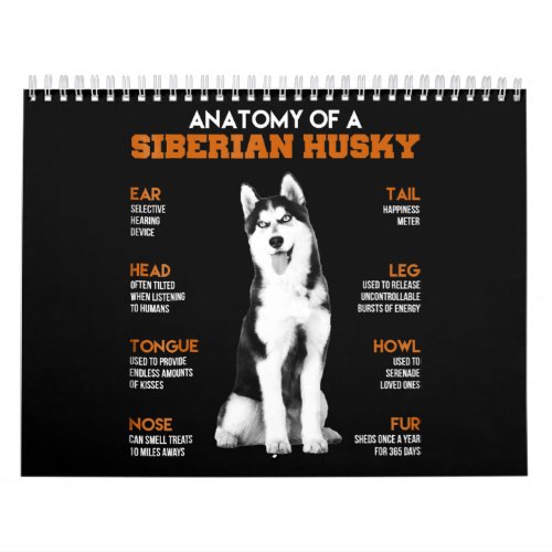 Husky  Anatomy Of Siberian Husky Dogs Calendar
