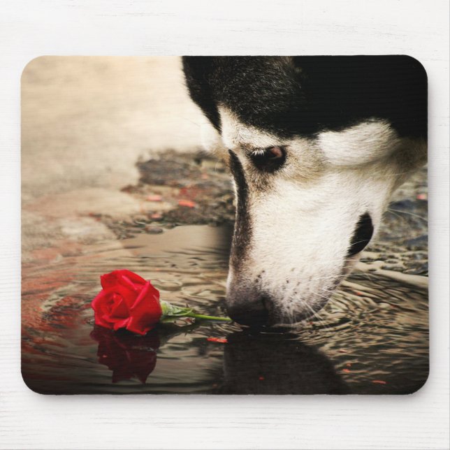 Husky and Red Rose Photography Mousepad (Front)