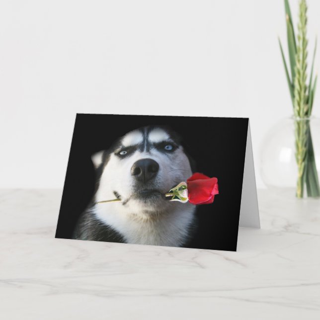 Husky and Rose Valentine/Tango Dog Holiday Card (Front)