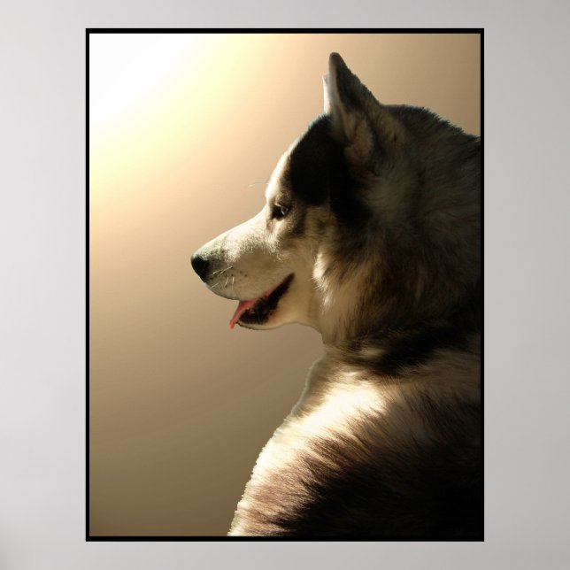 Husky Art Print Sled Dog Art Poster Husky Gifts (Front)