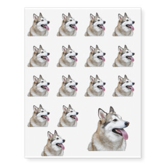Husky Baby! Temporary Tattoos