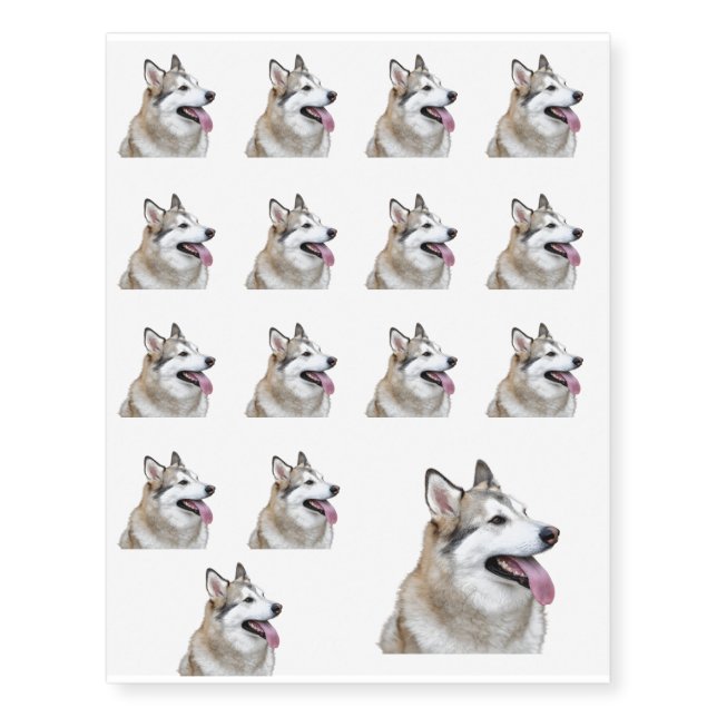 Husky Baby! Temporary Tattoos (Front)